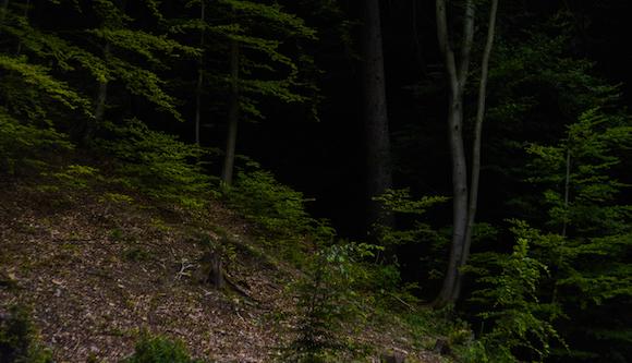Packendes Psychogramm