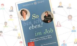 Welcher Arbeitstyp bin ich?